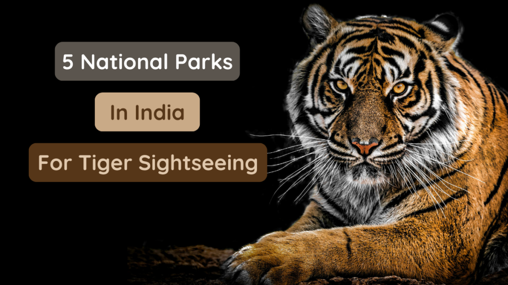 National Parks in India